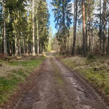 Alt Sammit Lejlighed